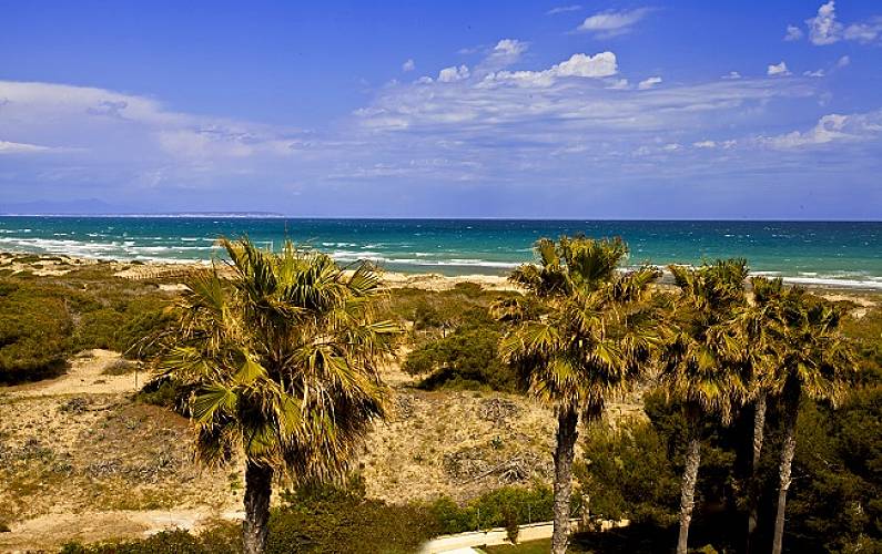 Apartment Alicante Torrevieja Apartment - 