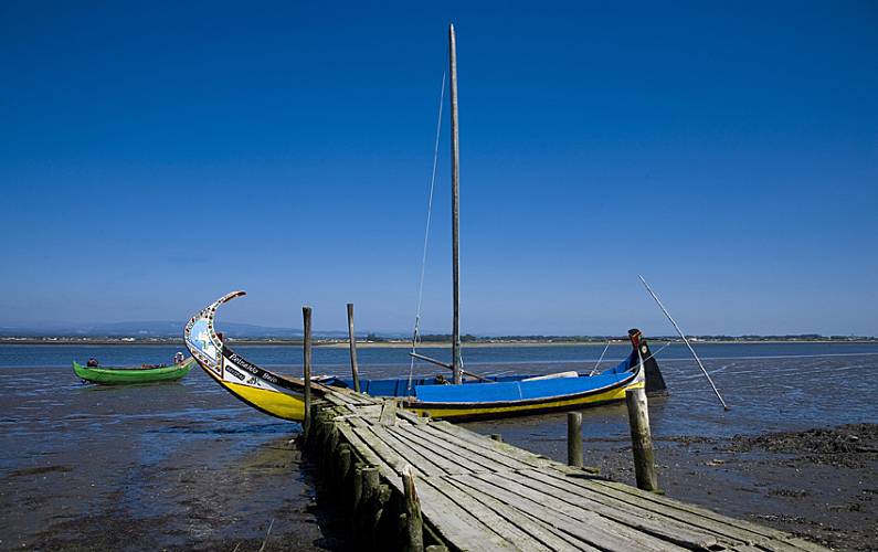 Casas Arredores Aveiro Ovar Casas - Arredores
