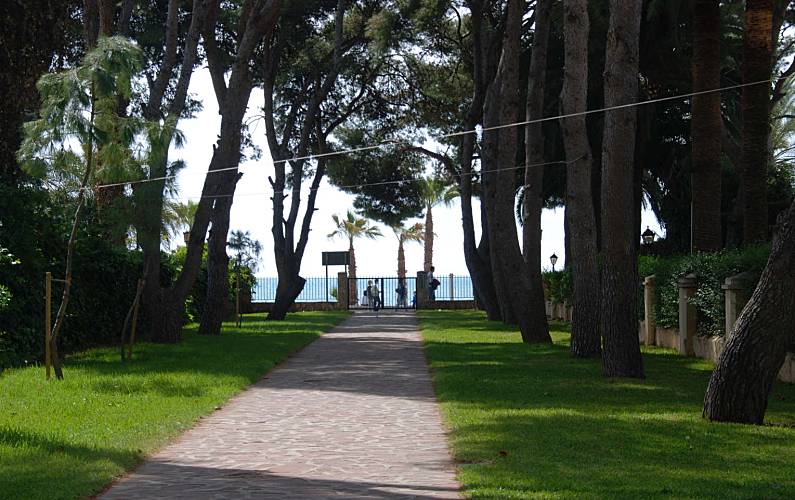 Wohnung Umgebung Castellón Benicasim/Benicàssim Ferienwohnung - Umgebung