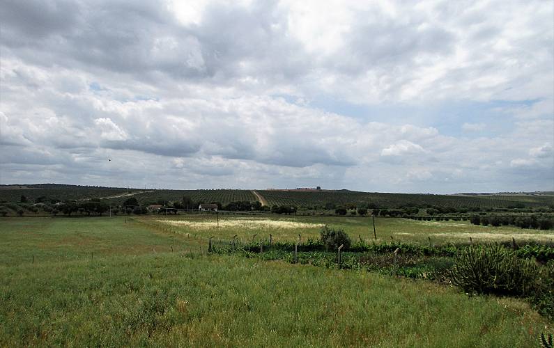 A Vistas da casa Évora Redondo Casa rural - Vistas da casa