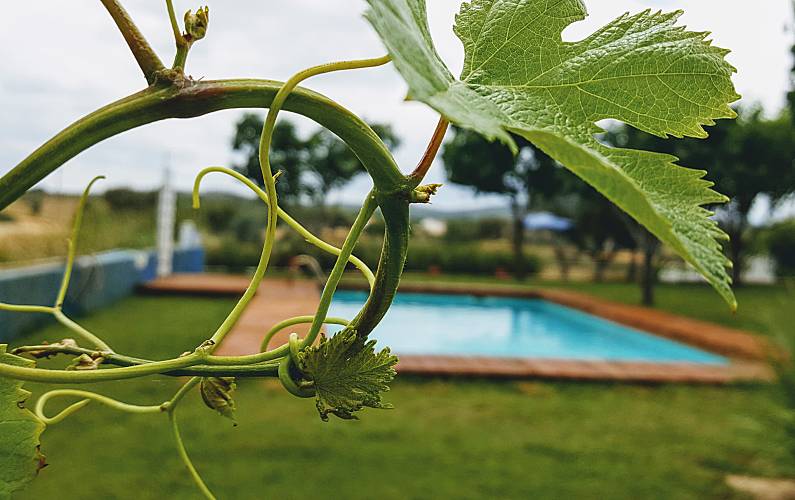 Monte Évora Arraiolos Casa rural - 