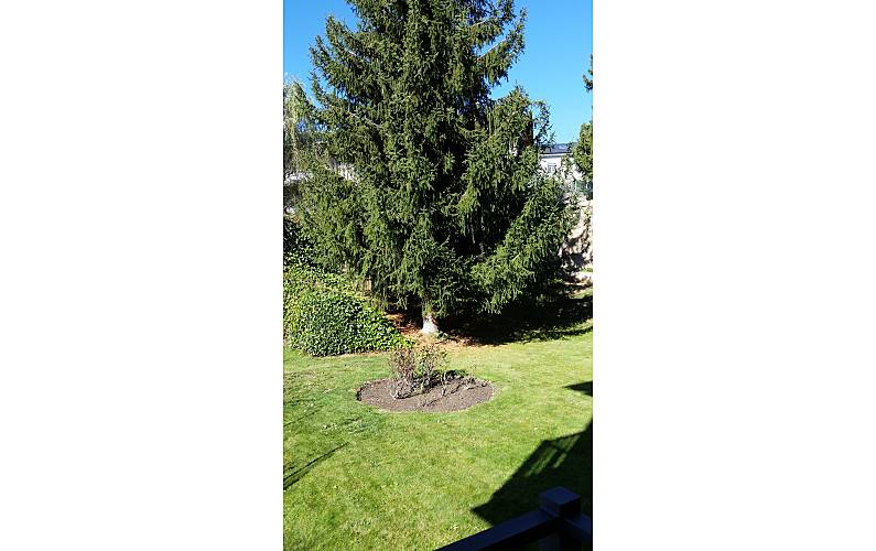 Apartamento Jardim Girona Puigcerdà Apartamento - Jardim