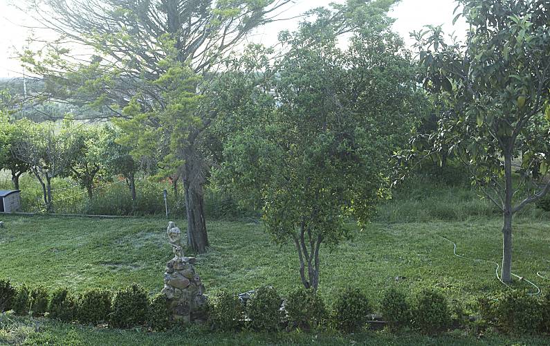 Casa Jardim Portalegre Portalegre Casa rural - Jardim