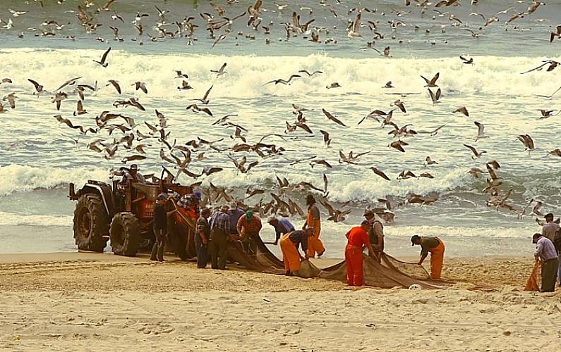 Apartamento Arredores Coimbra Mira Apartamento - Arredores