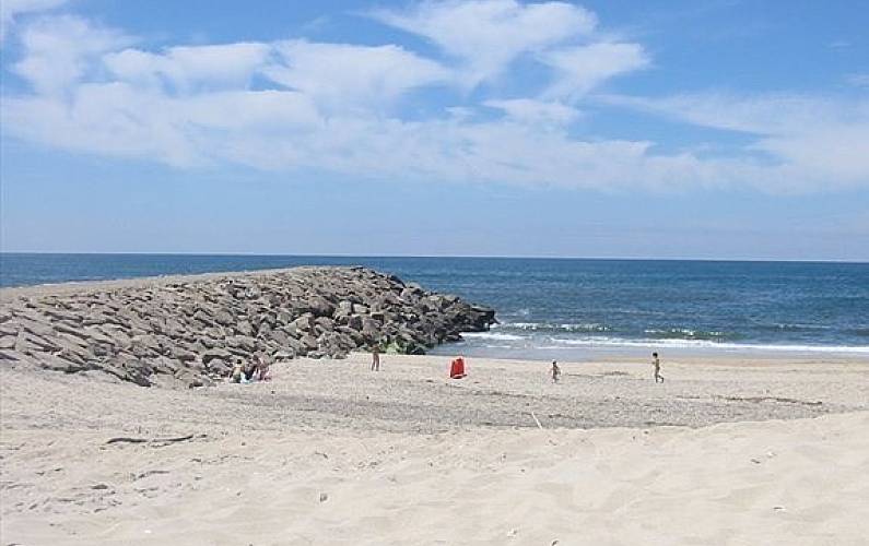 Apartamento Actividades próximas Coimbra Mira Apartamento - Actividades próximas