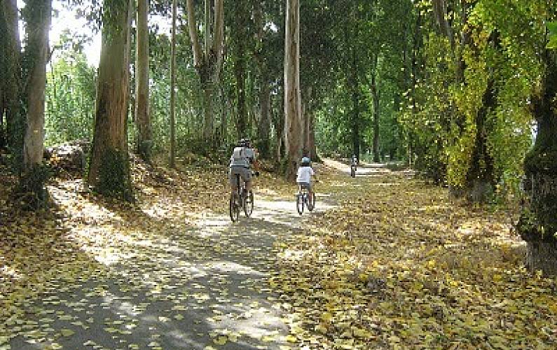 Apartamento Actividades próximas Coimbra Mira Apartamento - Actividades próximas