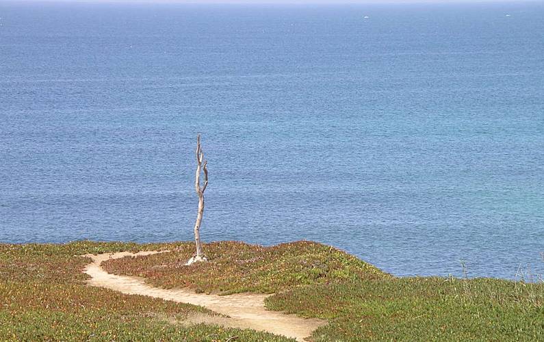 Apart. Vistas da casa Leiria Peniche Apartamento - Vistas da casa