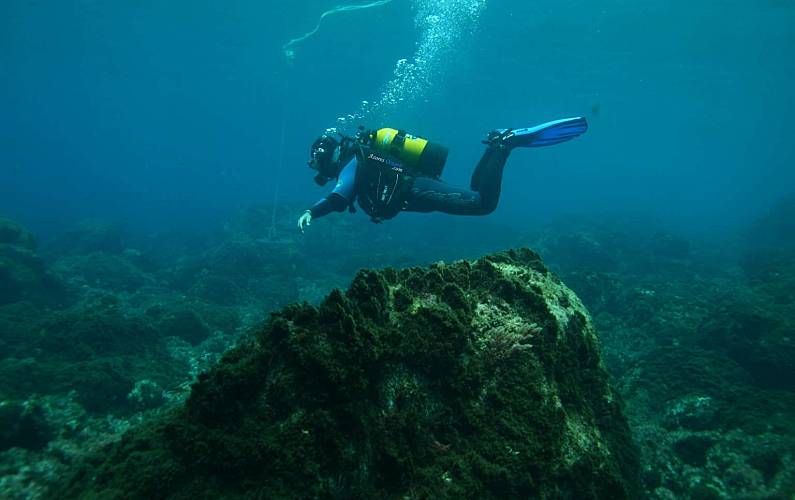 Retiro Actividades próximas Ilha do Pico Madalena Casa rural - Actividades próximas