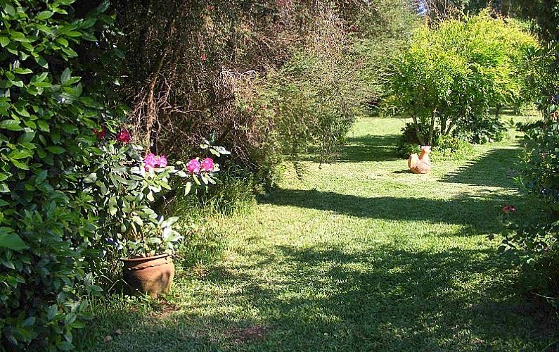 Vivenda Jardim Portalegre Arronches Villa rural - Jardim