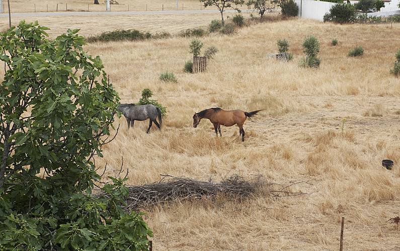 Casa Outros Portalegre Portalegre Casa rural - Outros