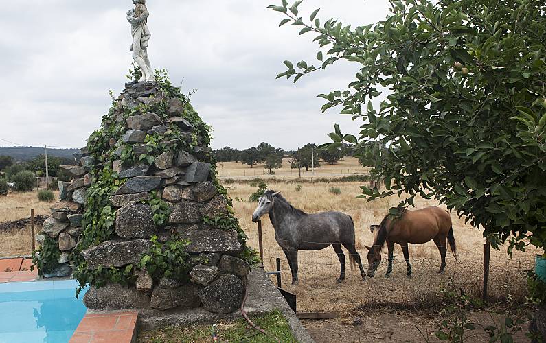Casa Jardim Portalegre Portalegre Casa rural - Jardim