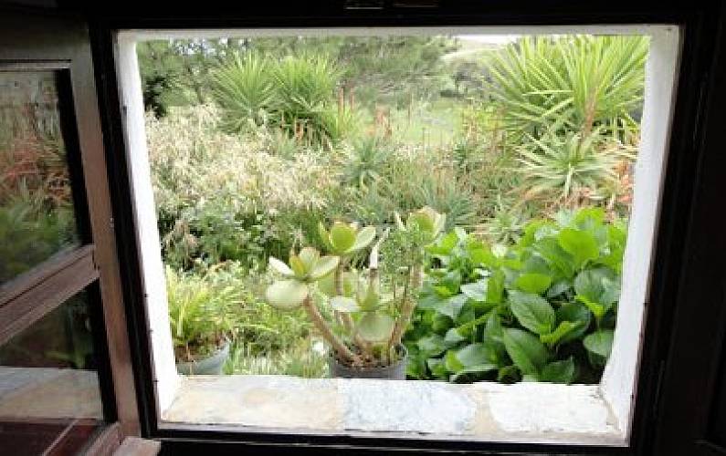 Casa Beja Almodôvar Casa rural - 