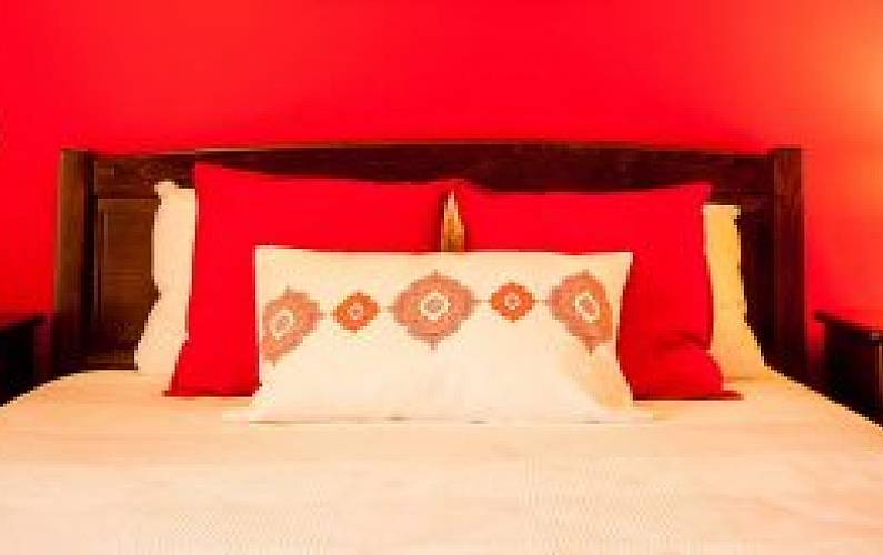 Casa Ilha do Faial Horta Casa rural - 