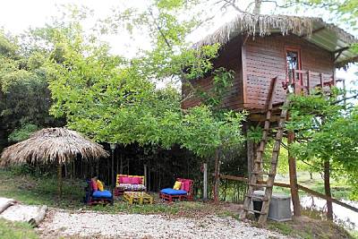 Casa para alugar com piscina Aveiro