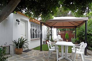 Apartamento en alquiler a 4 km de la playa