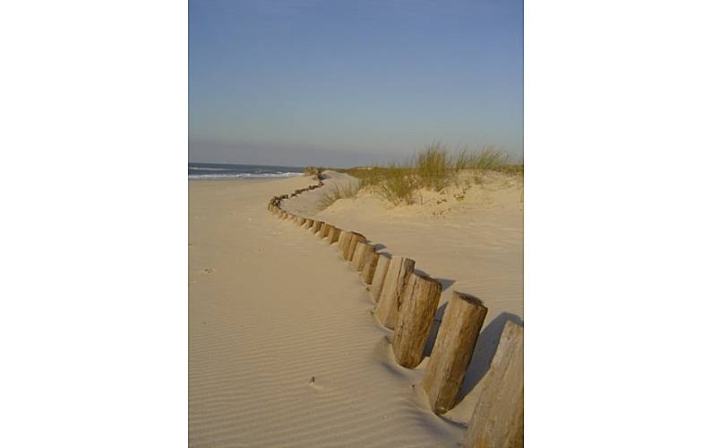 Apartamento Arredores Aveiro Murtosa Apartamento - Arredores