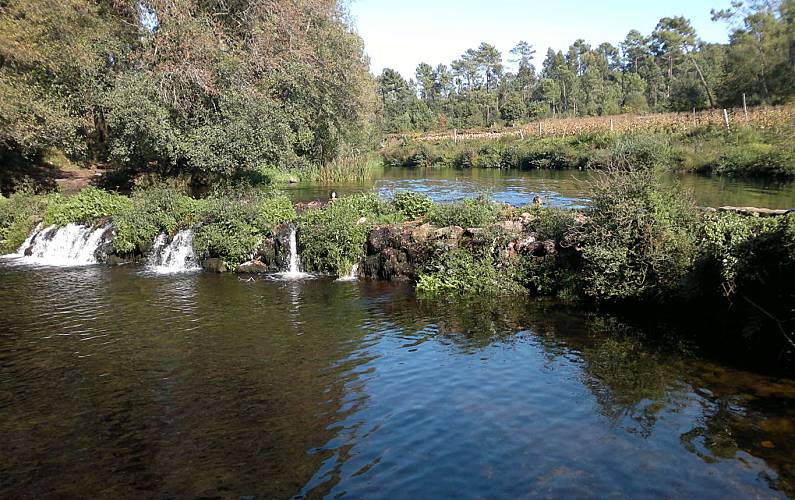 Villa Arredores Braga Esposende vivenda - Arredores