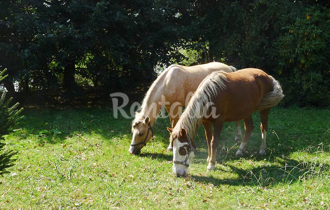 Casa en alquiler a 7 km de la playa A Coruña/La Coruña