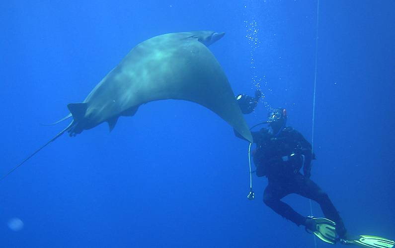 Retiro Actividades próximas Ilha do Pico Madalena Casa rural - Actividades próximas
