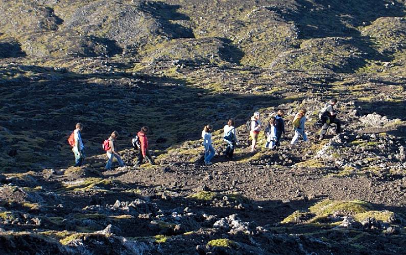 Retiro Actividades próximas Ilha do Pico Madalena Casa rural - Actividades próximas