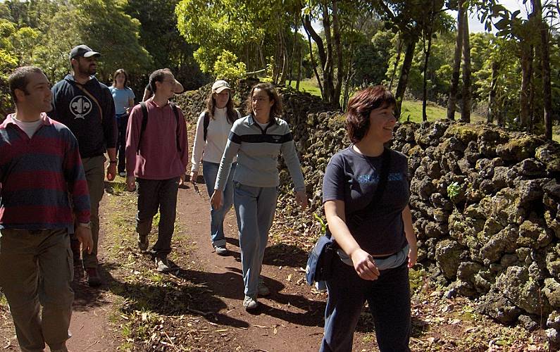 Retiro Actividades próximas Ilha do Pico Madalena Casa rural - Actividades próximas