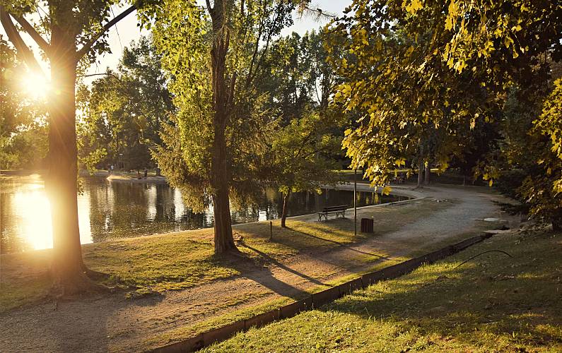 Apartamento para alugar em Osséja Pirineus Orientals - Arredores