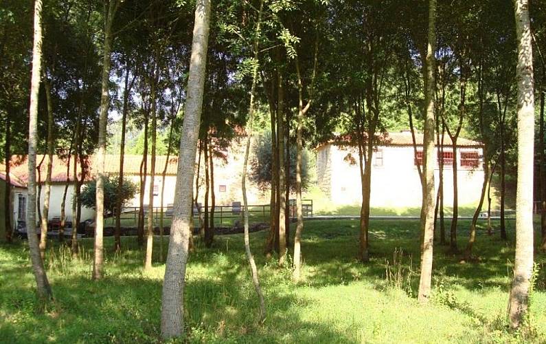 Casa Portalegre Campo Maior casa - 