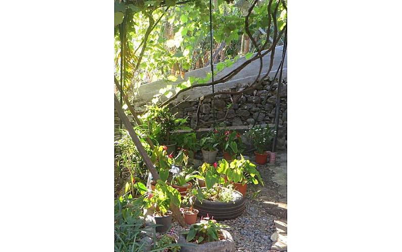 Vivenda Exterior da casa Ilha da Madeira Ponta do Sol vivenda - Exterior da casa