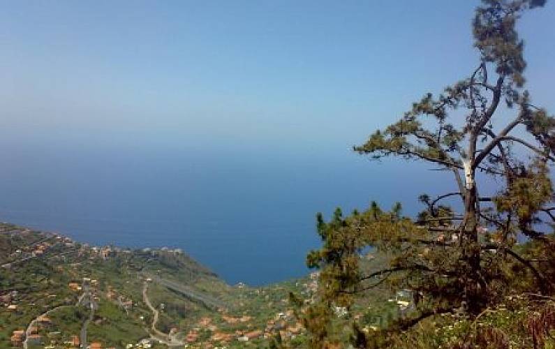 Casa Ilha da Madeira Ribeira Brava casa - 