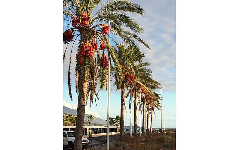 Apartamento Arredores La Palma Tazacorte Apartamento - Arredores