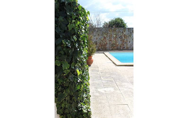 Villa de 3 chambres à 800 m de la plage 4