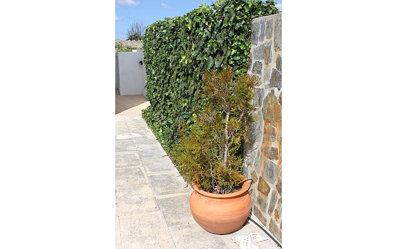 Villa de 3 chambres à 800 m de la plage 5