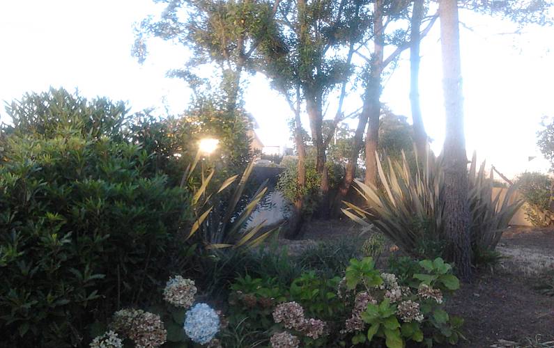 Casa Jardim Porto Vila Nova de Gaia vivenda - Jardim