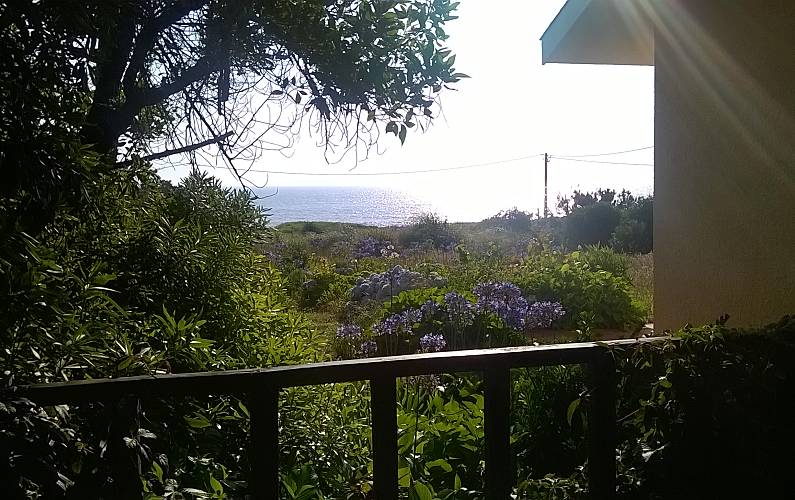 Casa Jardim Porto Vila Nova de Gaia vivenda - Jardim