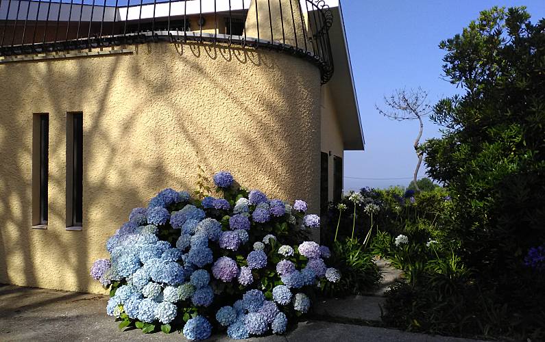 Casa Jardim Porto Vila Nova de Gaia vivenda - Jardim