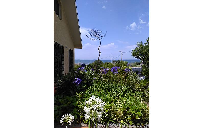 Casa Jardim Porto Vila Nova de Gaia vivenda - Jardim