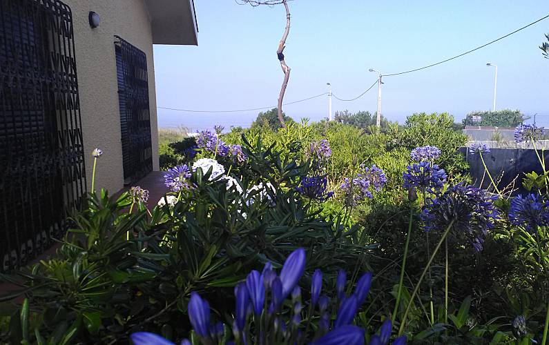 Casa Jardim Porto Vila Nova de Gaia vivenda - Jardim