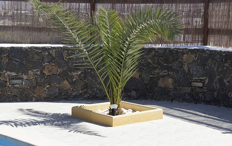 Casa Jardim Forteventura La Oliva Villa rural - Jardim