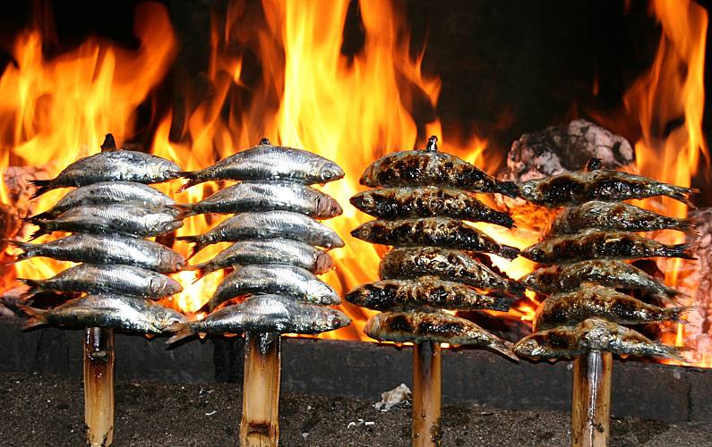 Vivenda Actividades próximas Málaga Málaga vivenda - Actividades próximas