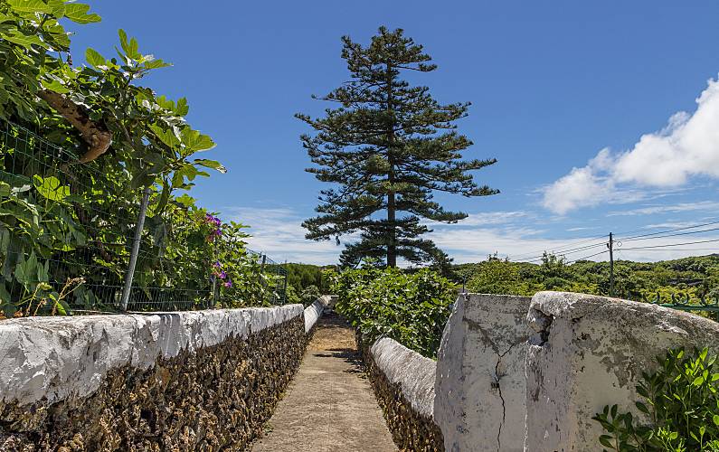 Vivenda Jardim Ilha Terceira Vila da Praia da Vitória casa - Jardim