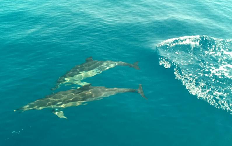 Apartamento Algarve-Faro Tavira Apartamento - 