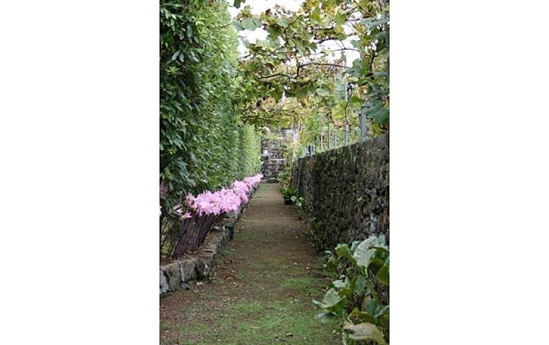 Casa Jardim Ilha de São Miguel Lagoa - R.A.A Casa rural - Jardim