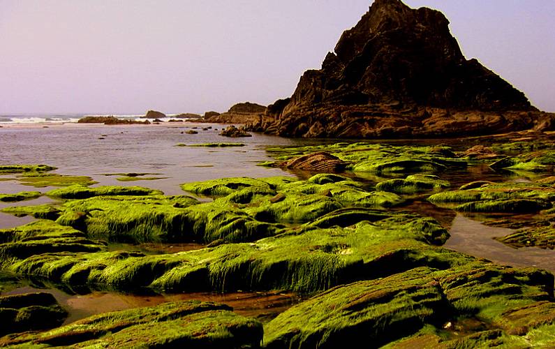 Casa Algarve-Faro Aljezur casa - 