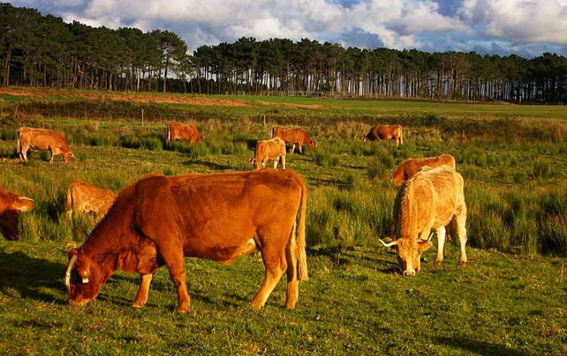 Casa Algarve-Faro Aljezur casa - 