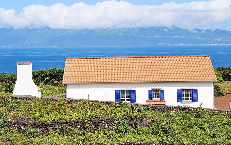 Casa para alugar em Ilha do Pico Ilha do Pico - 