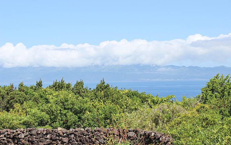 Casa Ilha do Pico Lajes do Pico casa - 