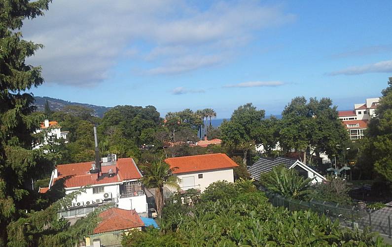 Apartamento Ilha da Madeira Funchal Apartamento - 