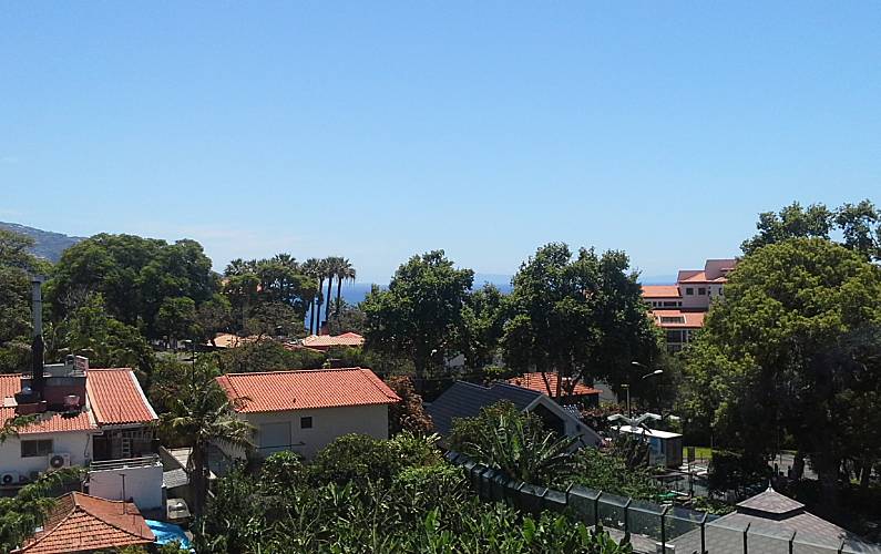 Apartamento Ilha da Madeira Funchal Apartamento - 