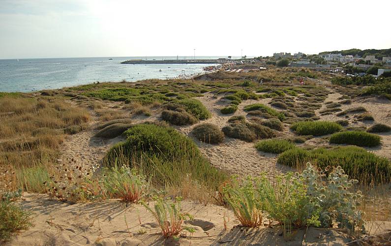 Bello Apt Vicino Alla Spiaggia Acqua Dolce Maruggio Taranto