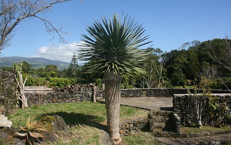Casa Exterior da casa Ilha de São Miguel Lagoa - R.A.A Casa rural - Exterior da casa